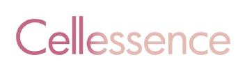CELLESSENCE