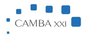 CAMBA XXI