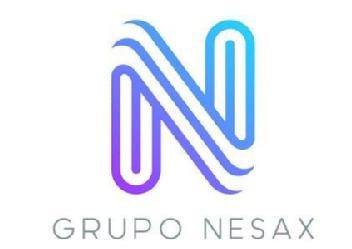 N GRUPO NESAX