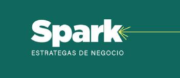 SPARK ESTRATEGAS DE NEGOCIO