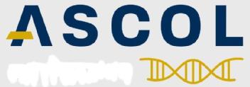 ASCOL