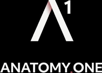 ANATOMY ONE A1