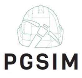 PGSIM