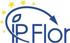 IP FLOR