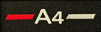 logo bi-banda
