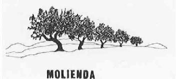 MOLIENDA