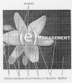(E)MANAGEMENT