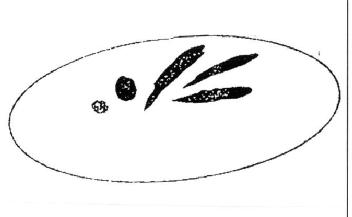 M2599753(X)