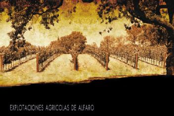 EXPLOTACIONES AGRICOLAS DE ALFARO