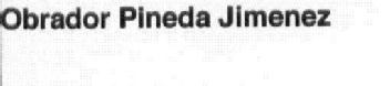 OBRADOR PINEDA JIMENEZ