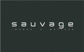 SAUVAGE IMAGEN Y BELLEZA