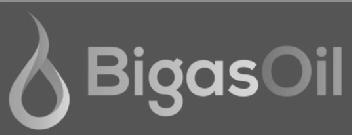 BIGASOIL