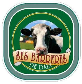 SES BARRERES DE DALT