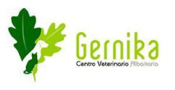 CENTRO VETERINARIO GERNIKA ALBAITARIA