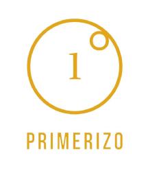 PRIMERIZO 1