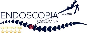ENDOSCOPIA COLUMNA 3.0mm CERTIFICATED