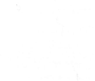 Imagen de 
