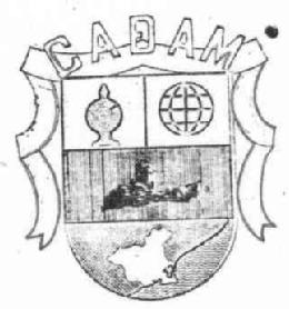 Imagen de CADAM
