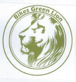 Imagen de BIKES GREEN LION