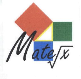 Imagen de MATEX