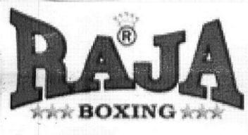 Imagen de RAJA BOXING
