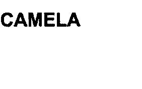 Imagen de CAMELA