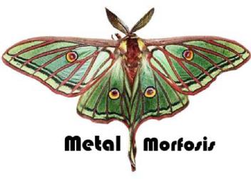 Imagen de METAL-MORFOSIS