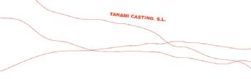 Imagen de TANAMI CASTING SL