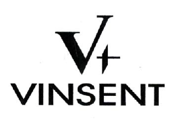 Imagen de VT VINSENT