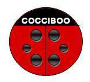 Imagen de COCCIBOO