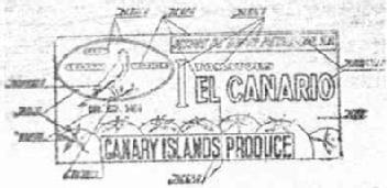 Imagen de EL CANARIO
