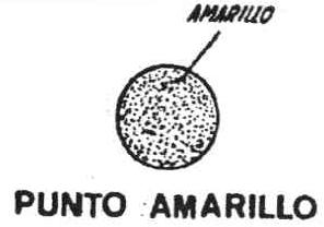 Imagen de PUNTO AMARILLO