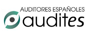 Imagen de AUDITORES ESPAÑOLES AUDITES
