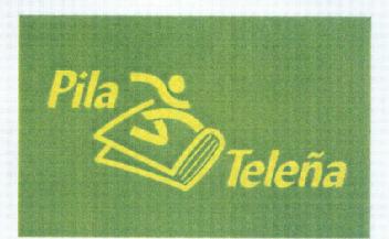 Imagen de PILA TELEÑA