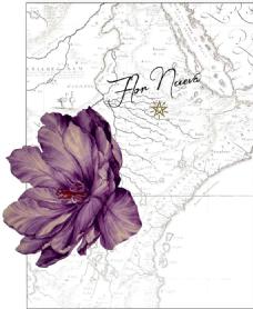 Imagen de FLOR NUEVA