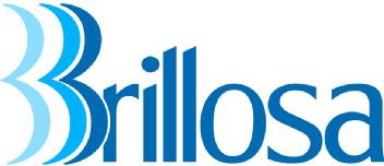 Imagen de BRILLOSA
