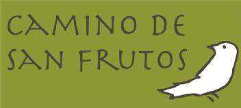 Imagen de CAMINO DE SAN FRUTOS