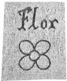 Imagen de FLOR