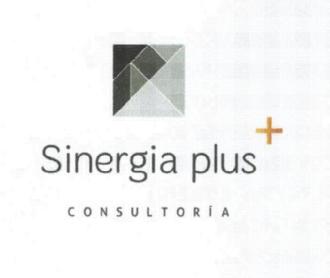 Imagen de SINERGIA PLUS CONSULTORIA