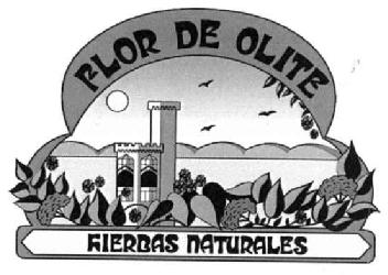 Imagen de FLOR DE OLITE HIERBAS NATURALES