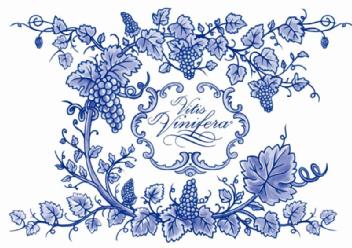 Imagen de VITIS VINIFERA
