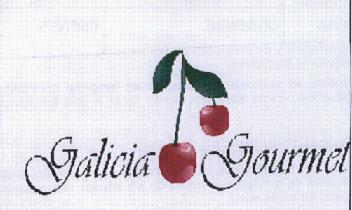 Imagen de GALICIA GOURMET