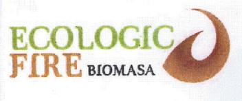 Imagen de ECOLOGIC FIRE BIOMASA