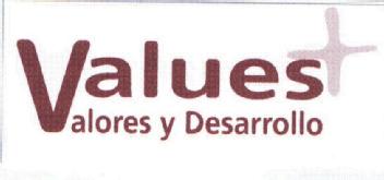 Imagen de VALUES VALORES Y DESARROLLO