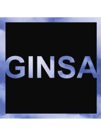 Imagen de GINSA