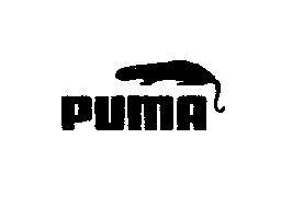Imagen de PUMA