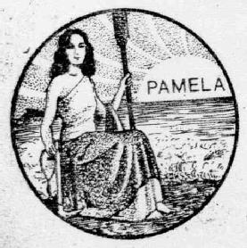 Imagen de PAMELA