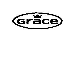 Imagen de GRACE