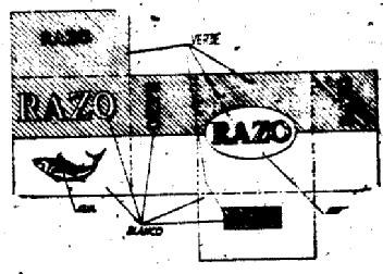 Imagen de RAZO