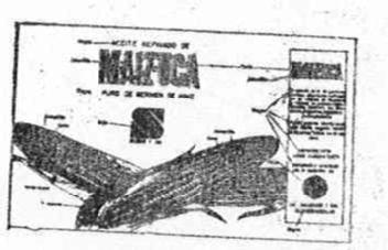 Imagen de MAIZUCA